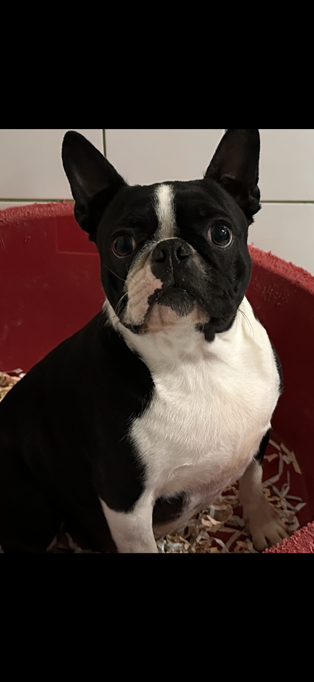 Urban legend vom norden haus