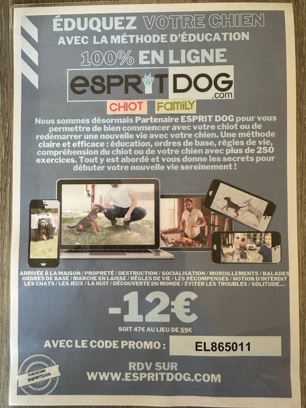 Partenaire Esprit Dog
